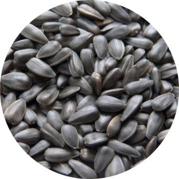 Sunflower Black Seeds